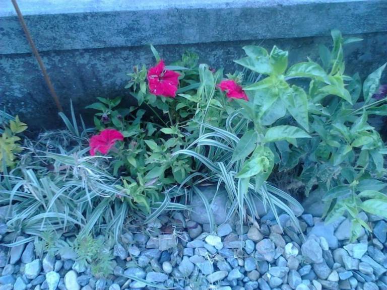 foto11