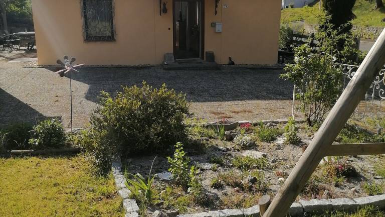 foto11