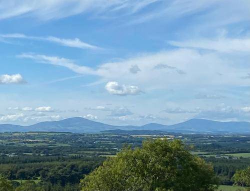 Resort Wexford