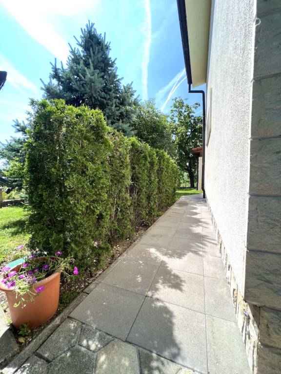 foto18