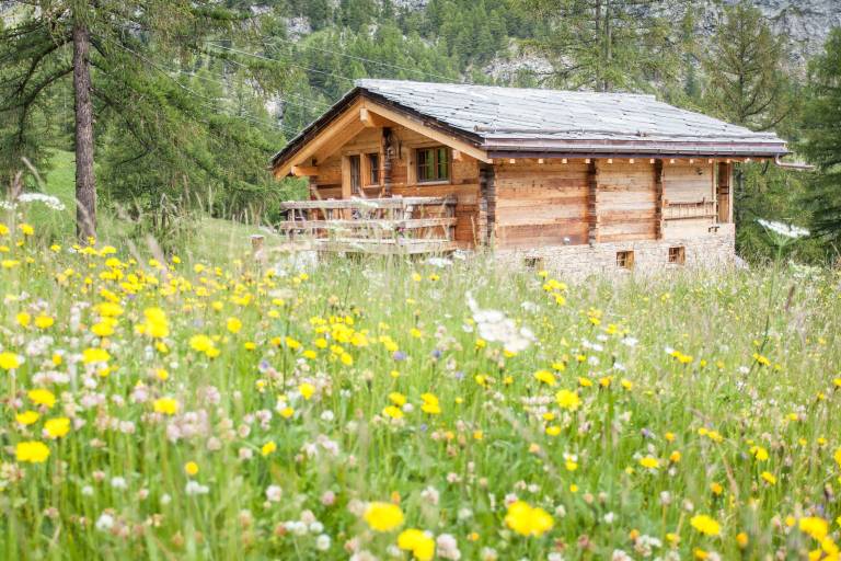 Chalet Zermatt