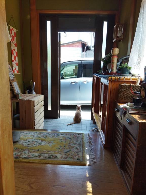 foto46