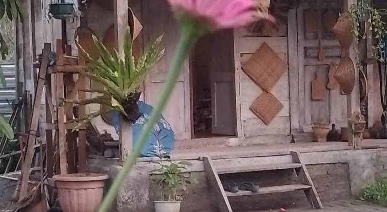 foto19