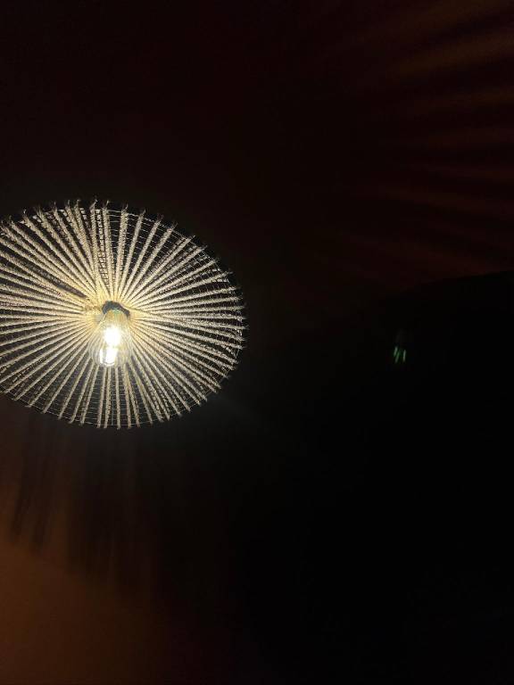 foto8