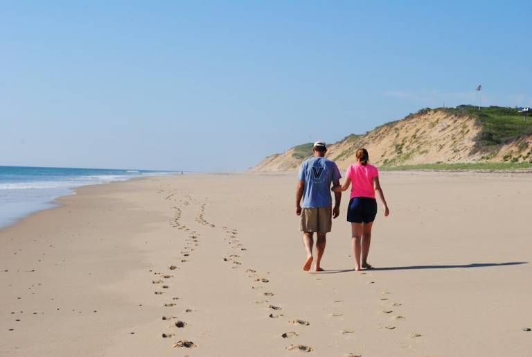 Cottage Wellfleet