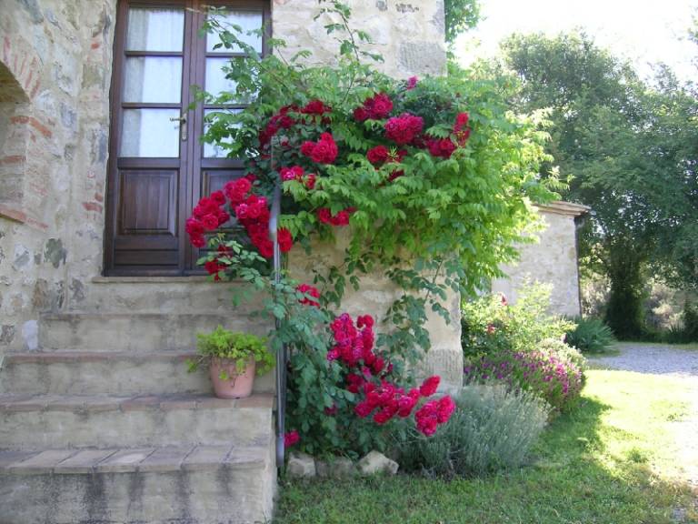 foto47