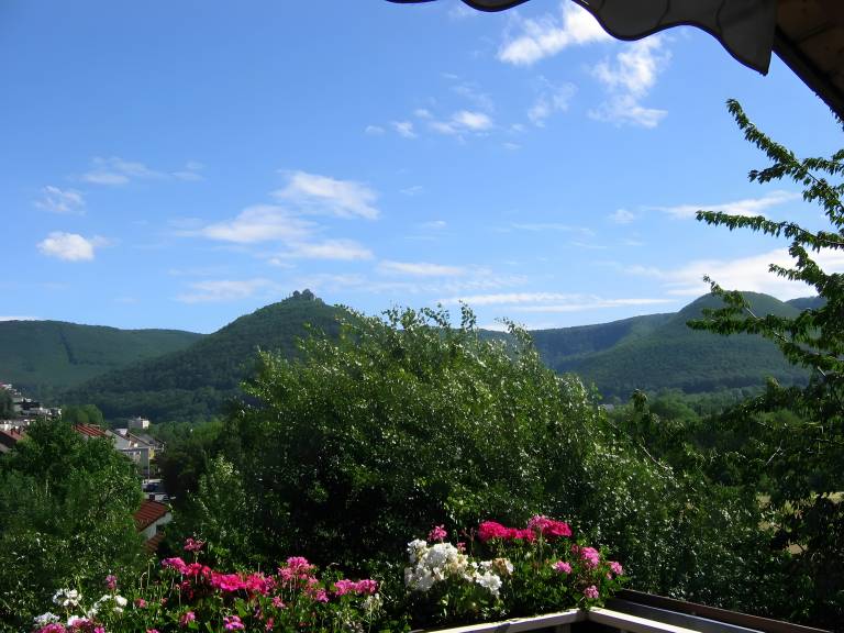 foto20