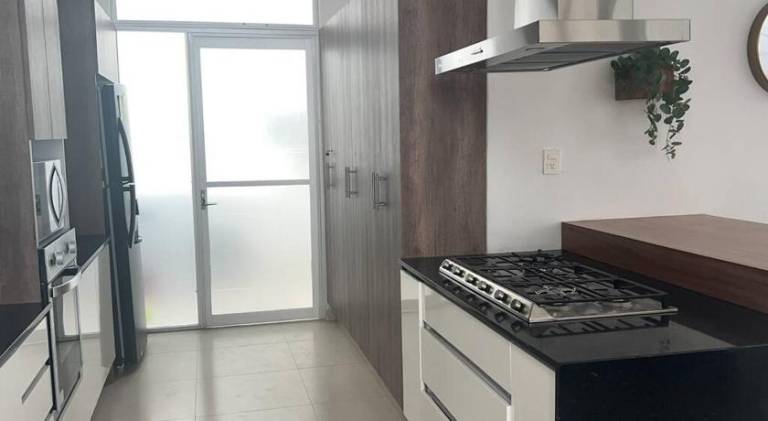 foto40