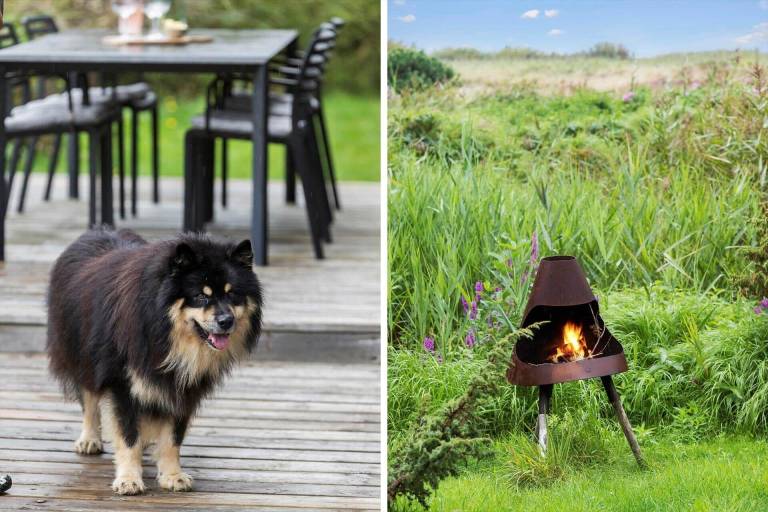 Vacation home with terrace & BBQ | Pets are welcome — photo 3