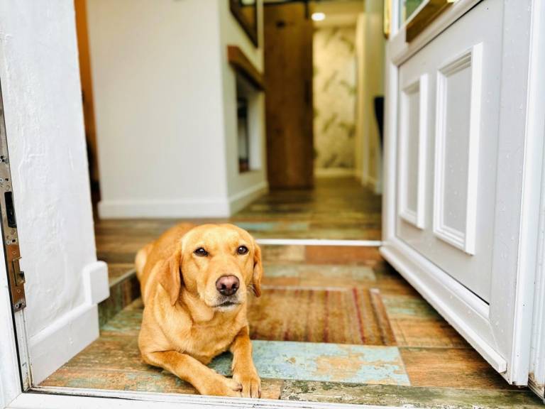 Fully equipped beautiful cottage with yard | Dogs allowed — photo 3