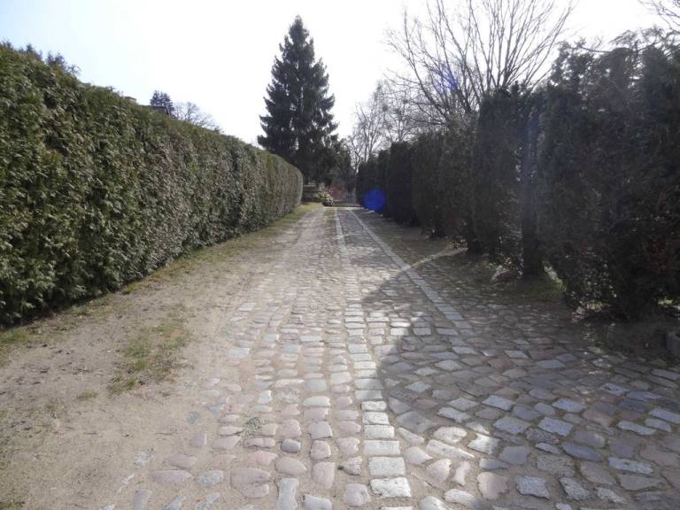 foto16