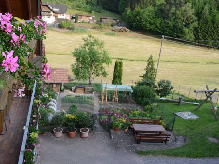 foto16