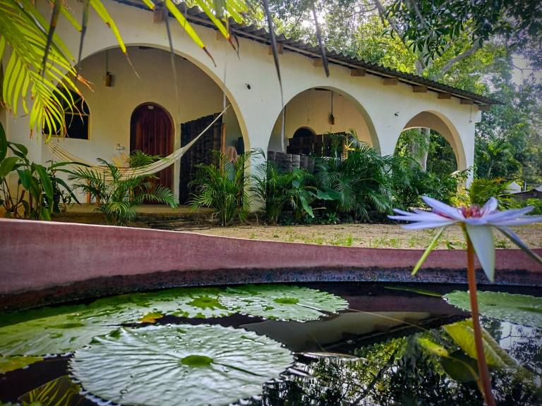 Troncones Hostel Pajaros