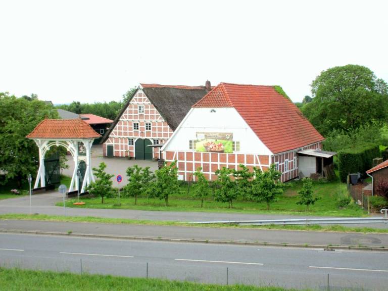 foto22