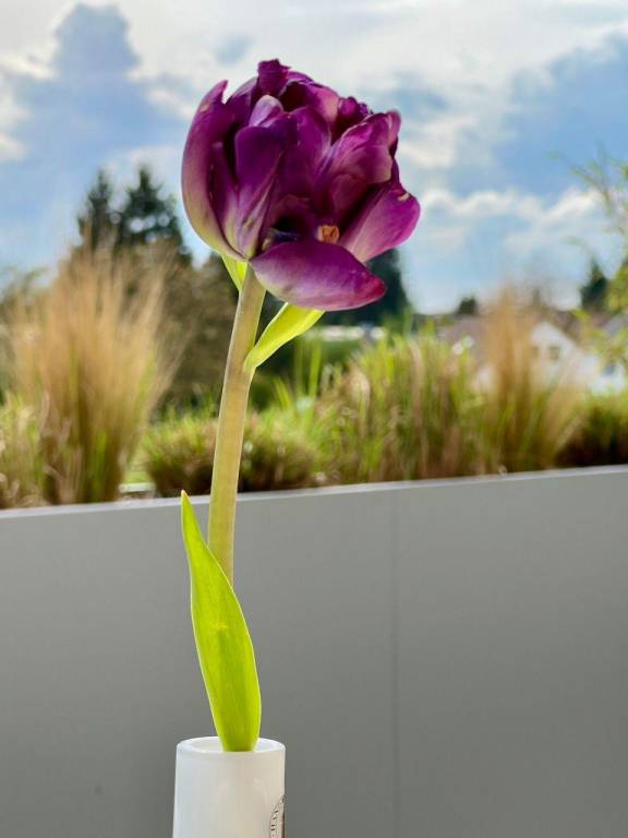 Appartement Friedrichshafen