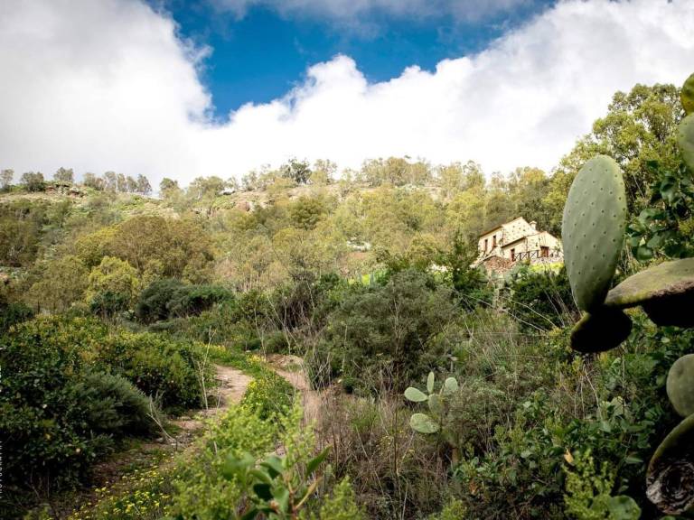 Ferienhaus in La Peña, Teror f&uuml;r max. 5 Personen am Atlantik