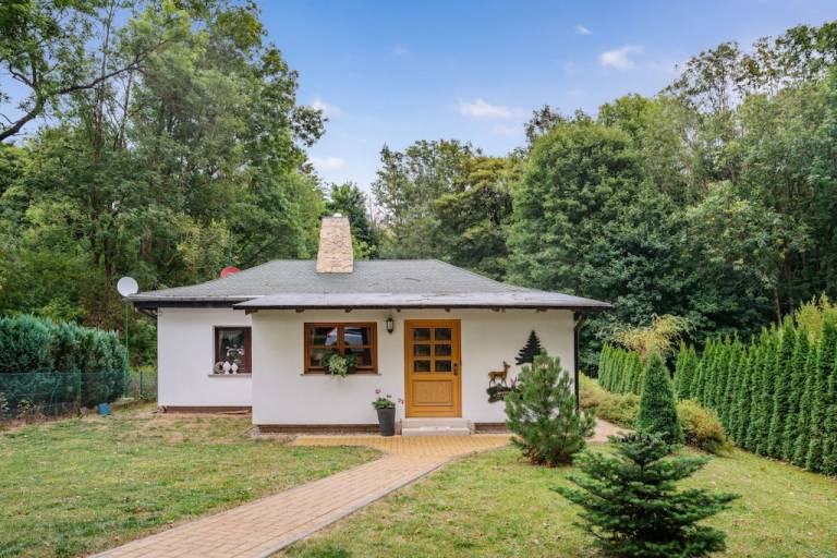 Ferienhaus Elbingerode (Harz)