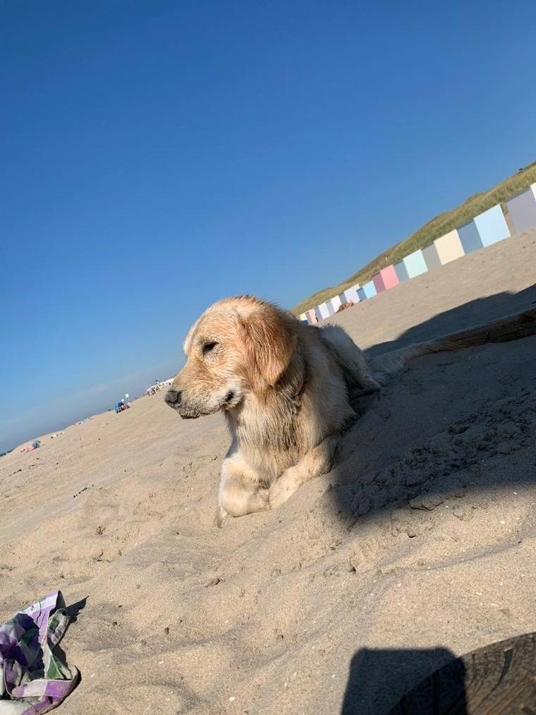 foto20