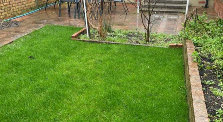 Holiday apartment with yard — photo 3