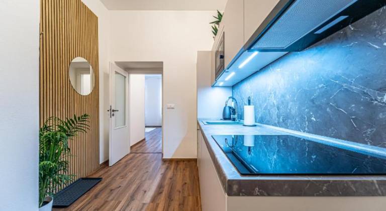 Design Apartments Luzanky — photo 4