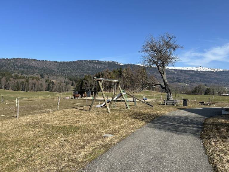 foto14