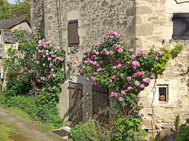 Maison de vacances Doué-la-Fontaine