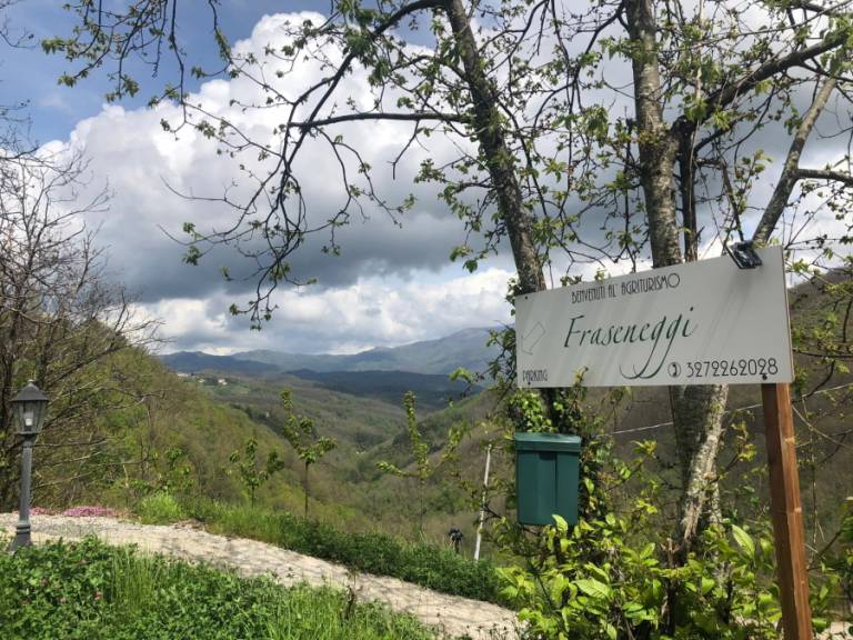 foto4