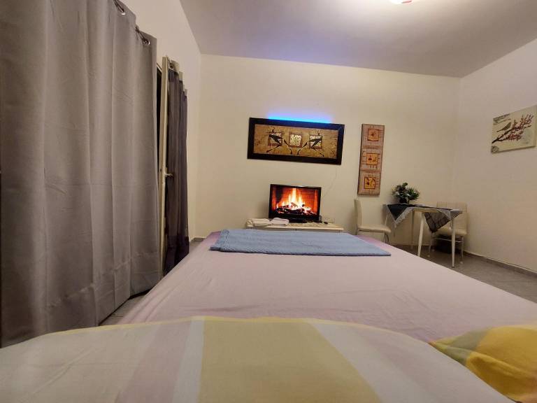 Rental apartment with yard — photo 2