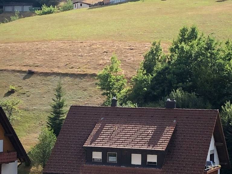 foto24