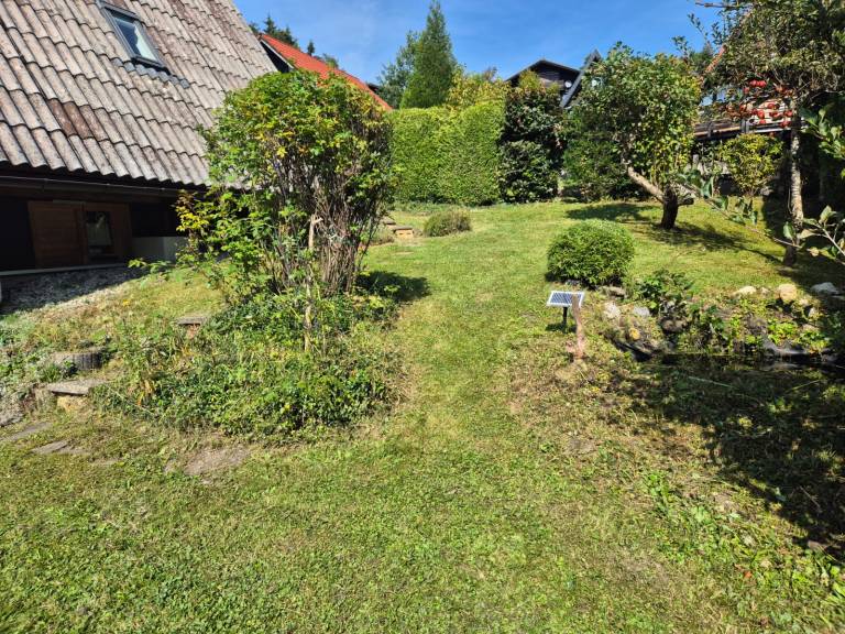 foto31