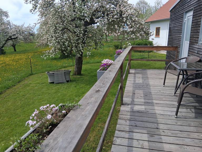 foto23