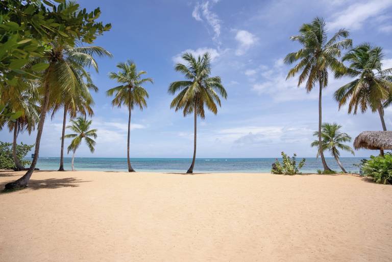Condo Las Terrenas