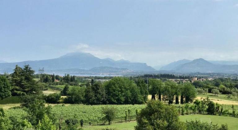 Lovely apartment with garden & terrace | Dogs allowed in Pozzolengo