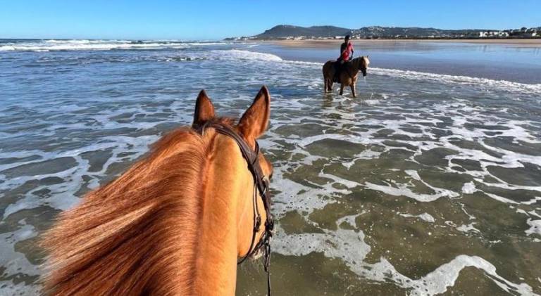 50 m&sup2; Bauernhof