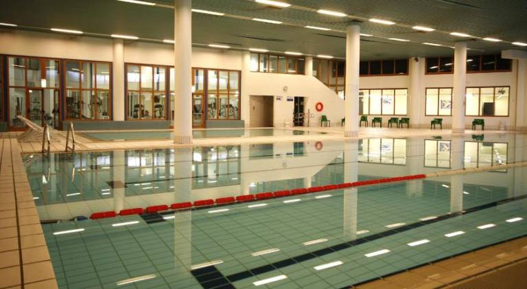 Pleasant serviced apartment with sauna, yard & pool | Next to the ski | Pets are welcome — photo 3