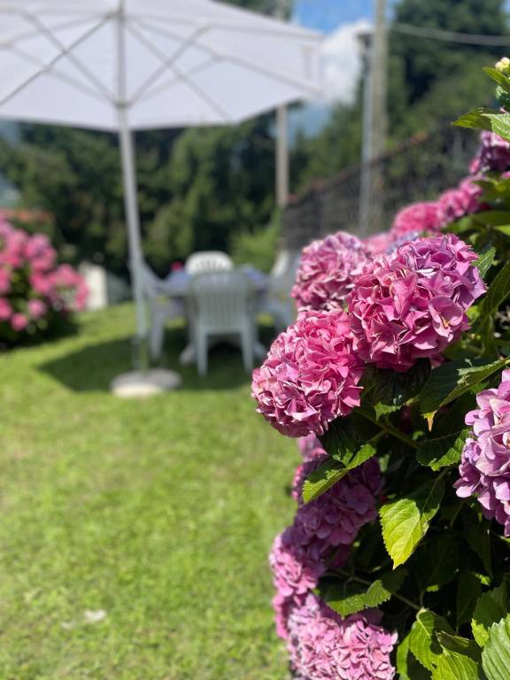 Ferienhaus mit Hund in Ferrara di Monte Baldo, Gardasee f&uuml;r max. 6 Personen