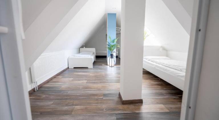 Spacious rental apartment | Pets are welcome — photo 3