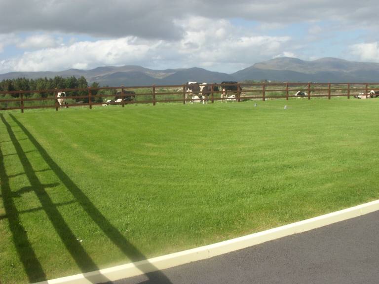 Cottage Tooreennasliggaun