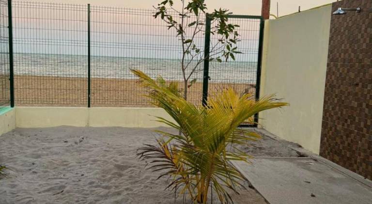 House | Close to the beach | Pets allowed — photo 2