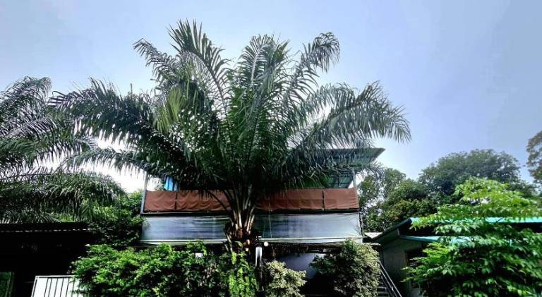 Pleasant rental apartment with terrace | Next to the beach | Pets allowed in Ko Chang