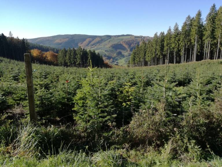 foto21