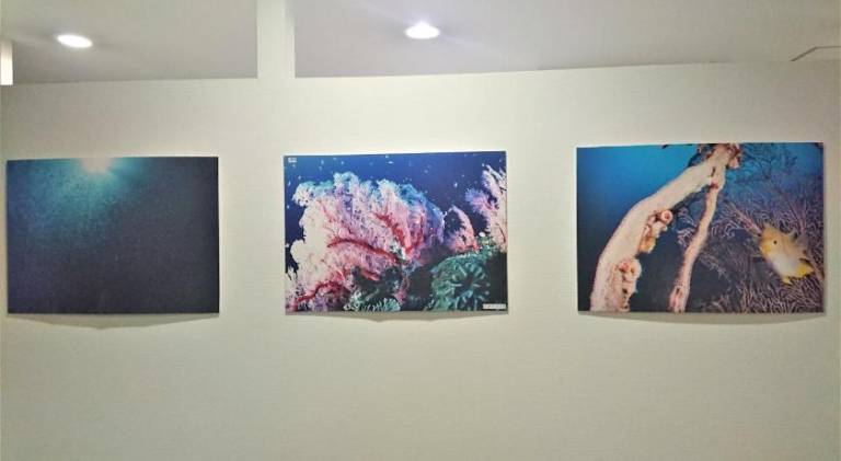 foto13
