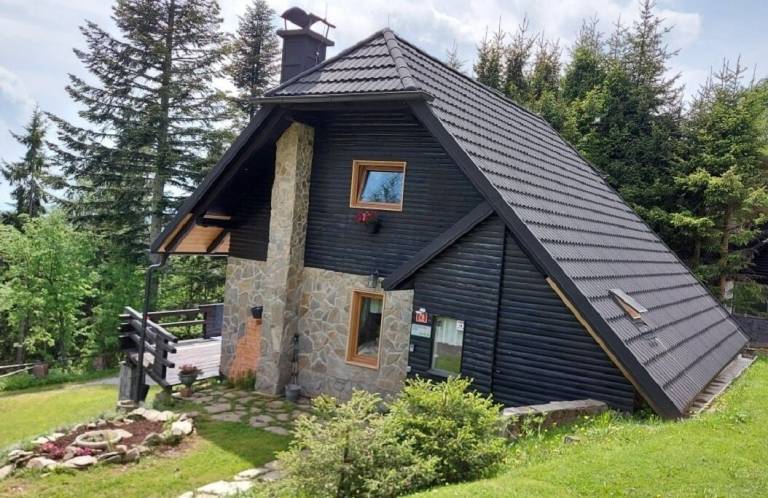 Chalet  Resnik