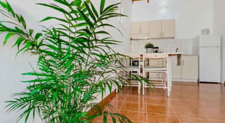Rental apartment with terrace — photo 4