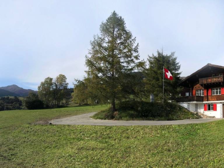 Steiger-Nellen Buretsch, (Segnas/Disentis). — photo 5
