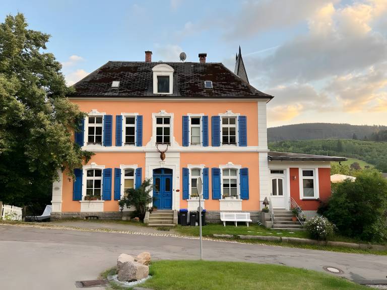 Villa 'theMAP' with Balcony and Wi-Fi in Lenzkirch