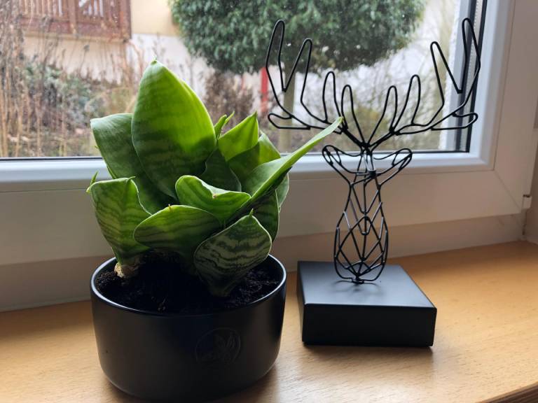 foto22