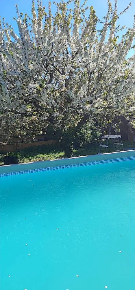Maison de vacances  Lisses