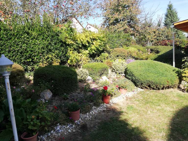 foto6