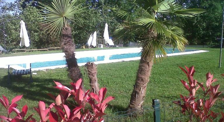foto36